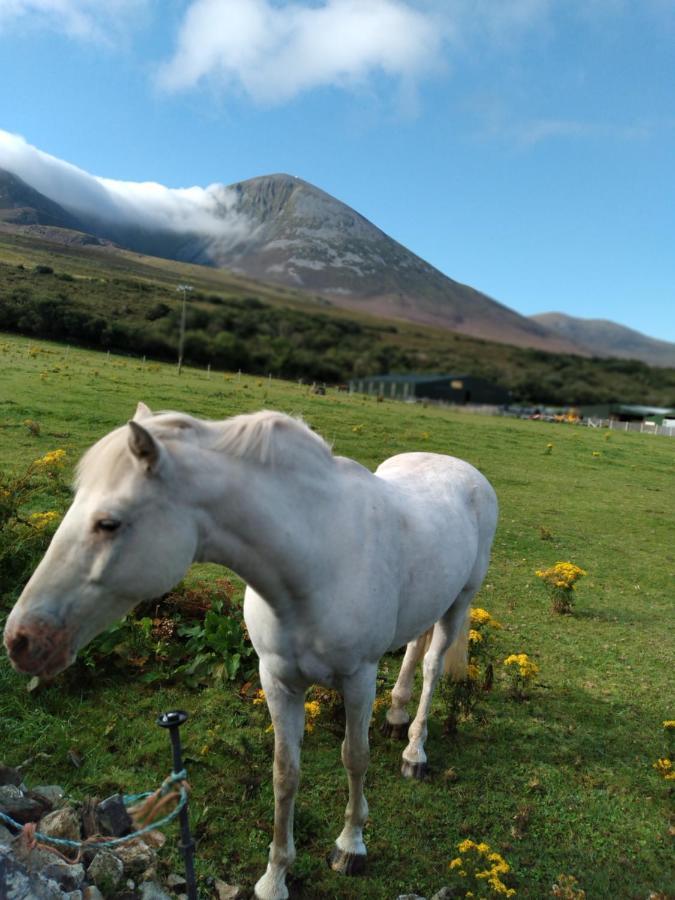Elmgrove Apartment , Croagh Patrick Γουέστπορτ Εξωτερικό φωτογραφία